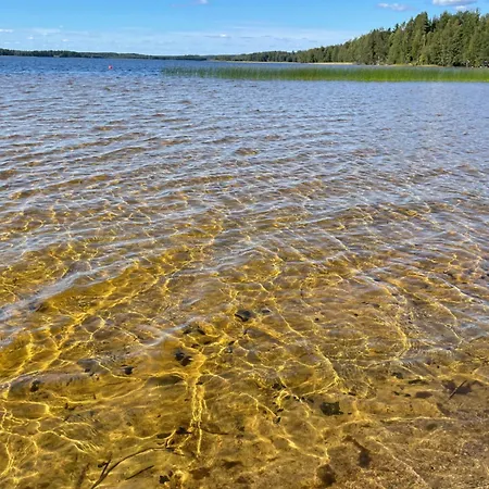 Apartamento Joutiaisentie I 55 Forest *