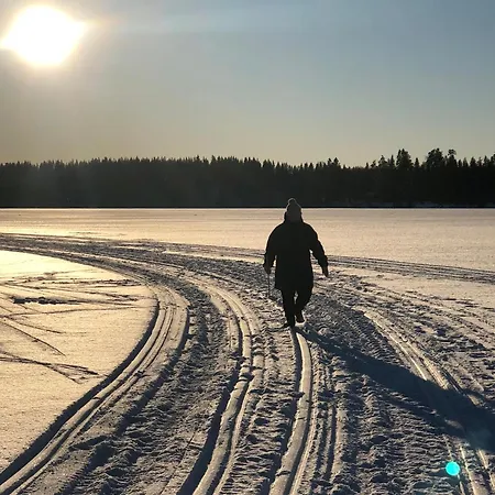 Joutiaisentie I 55 Forest *