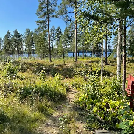 Joutiaisentie I 55 Forest * Joutsa