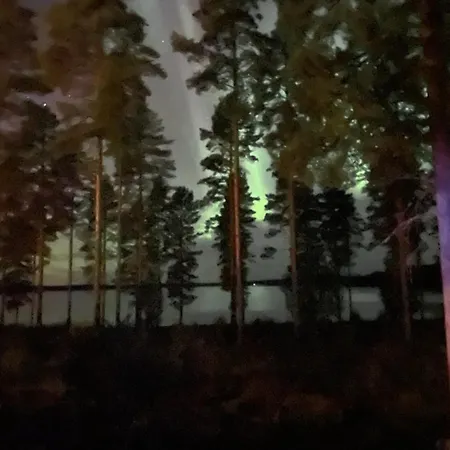 Joutiaisentie I 55 Forest Apartamento *