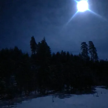 Apartmán Joutiaisentie I 55 Forest Joutsa