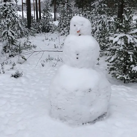 Joutiaisentie I 55 Forest * Joutsa