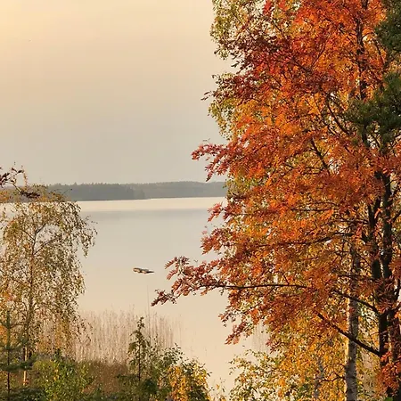 Joutiaisentie I 55 Forest Apartmán Joutsa