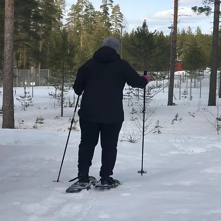 Joutiaisentie I 55 Forest *