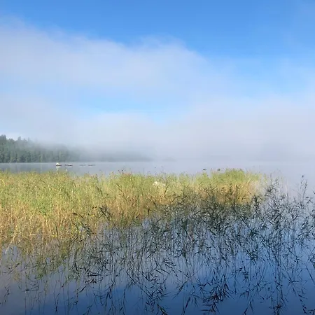 Joutiaisentie I 55 Forest Apartmán