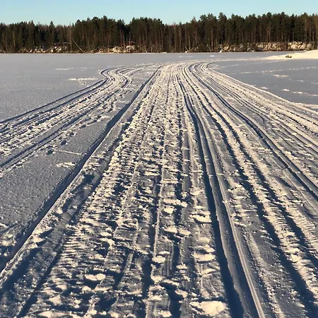 Joutiaisentie I 55 Forest