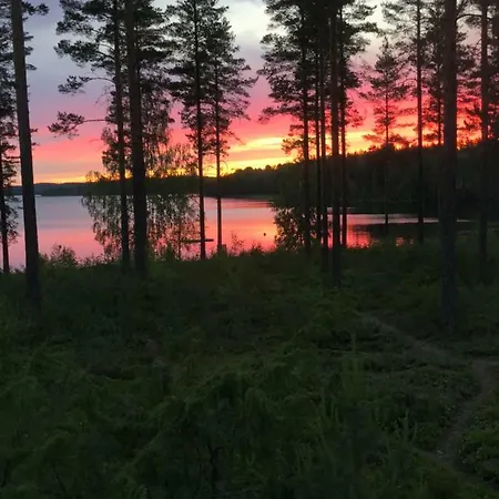 Joutiaisentie I 55 Forest *