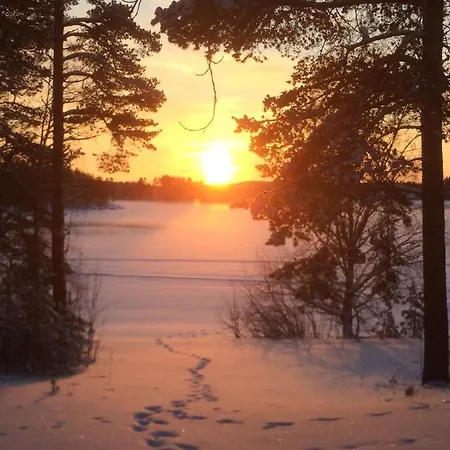 Joutiaisentie I 55 Forest Apartmán