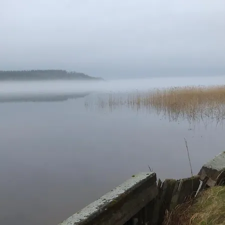 Joutiaisentie I 55 Forest *