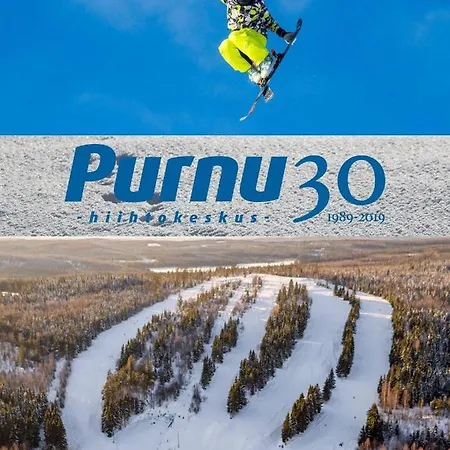 Joutiaisentie I 55 Forest 公寓 Joutsa