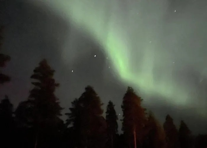 Joutiaisentie I 55 Forest Apartman Joutsa