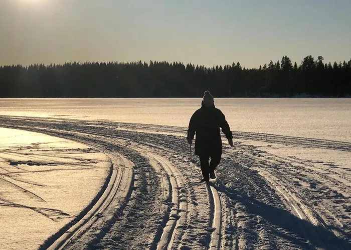 Joutiaisentie I 55 Forest *