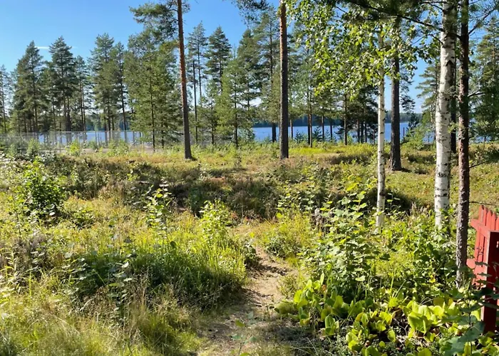 Joutiaisentie I 55 Forest * Joutsa