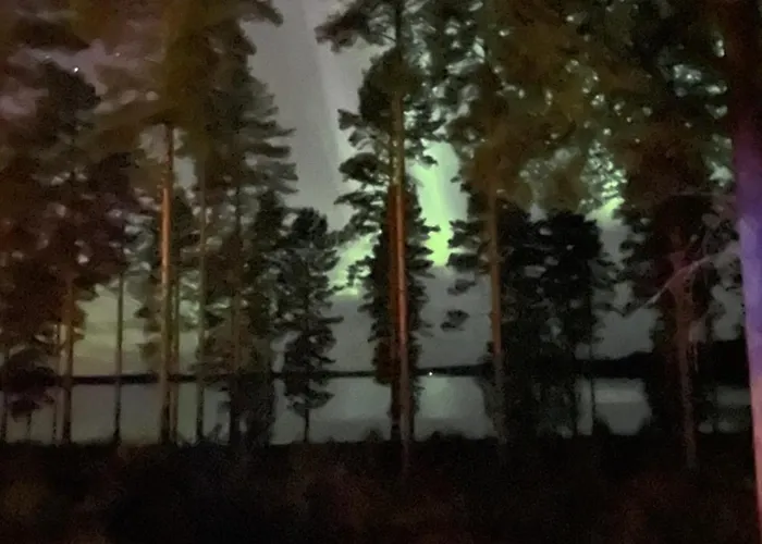 Joutiaisentie I 55 Forest Apartman *