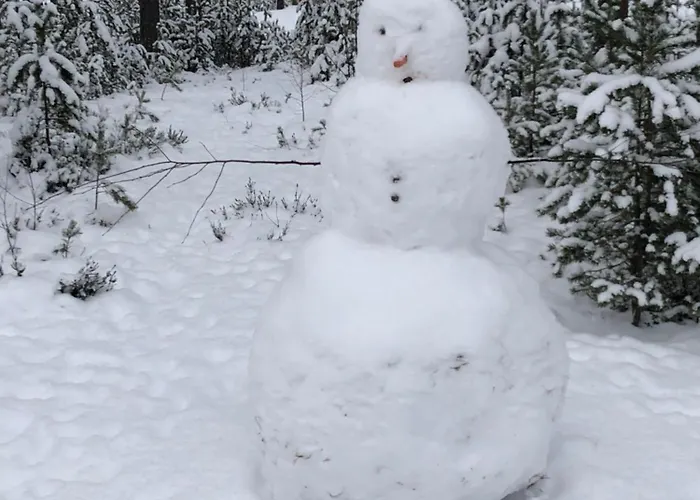 Joutiaisentie I 55 Forest * Joutsa