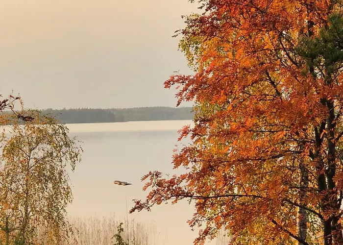 Joutiaisentie I 55 Forest Apartman Joutsa