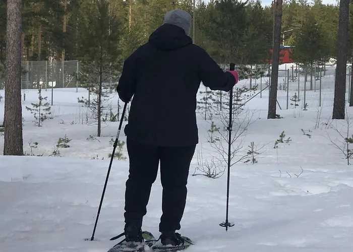 Joutiaisentie I 55 Forest *