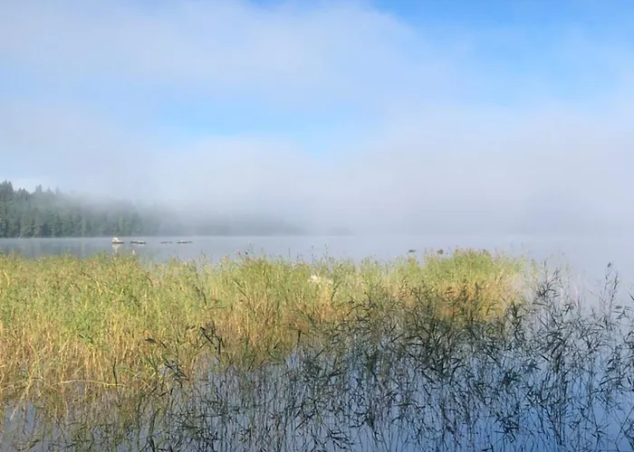 Joutiaisentie I 55 Forest Apartman