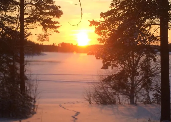 Joutiaisentie I 55 Forest *