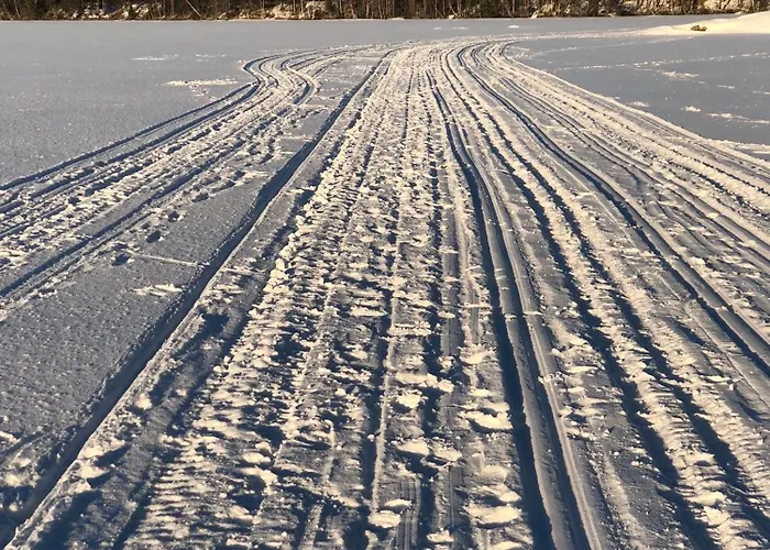 Joutiaisentie I 55 Forest