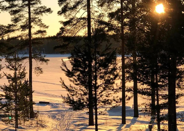 Huoneisto Joutiaisentie I 55 Forest *