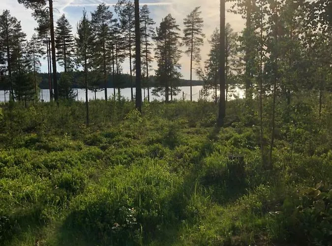 Huoneisto Joutiaisentie I 55 Forest *