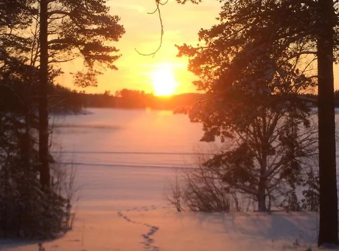 Joutiaisentie I 55 Forest Apartman