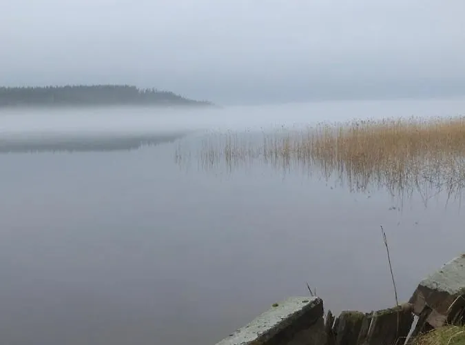 Joutiaisentie I 55 Forest *